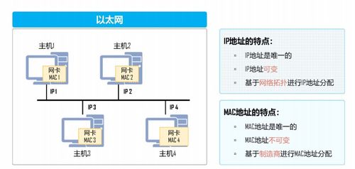 网络通信基础入门与无线通信网络性能检测服务解析